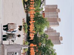 -洛阳周公庙博物馆