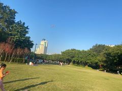 -南宁南湖公园