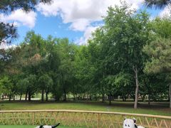 -长春公园(普阳街道)