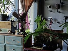 -BUND·FIVE外滩5号(天际店)