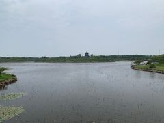 -上海海湾国家森林公园