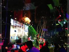 -胡桃里音乐酒馆(石家庄店)