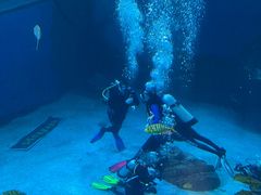 -太平洋海底世界