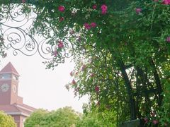 -上海交通大学(闵行校区)