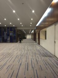 -西安威斯汀大酒店·宴会厅