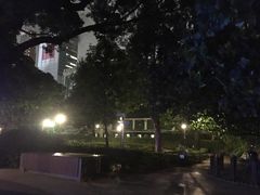 -九龙公园