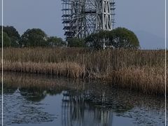 -苏州太湖湖滨国家湿地公园