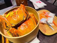 母蟹-蟹榭·本帮江浙菜·蟹宴(五角场合生汇商场店)