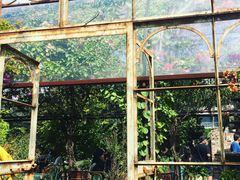 -The Grounds of Alexandria