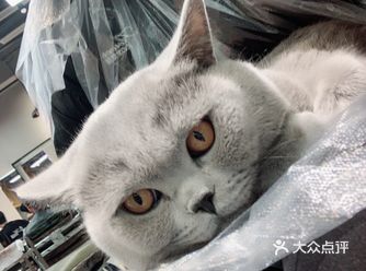 你以为这是一家剪发的店面 错 ta还有三明治水果可以