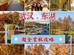 -东湖落雁景区