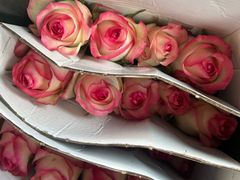 -循礼门鲜花花市(武汉循礼门店)