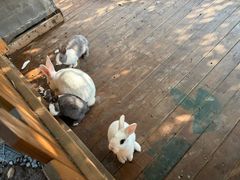 -HERRE·FARM 赫尔露营农场·团建聚会包场