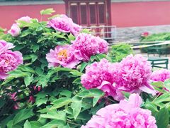-大钟寺古钟博物馆