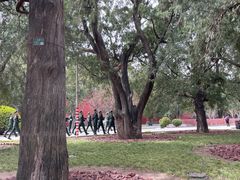 -北京市劳动人民文化宫(太庙)