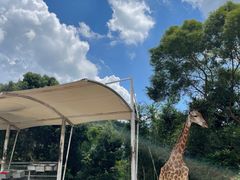 -泉州海丝野生动物世界