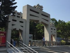 -宋井风景区