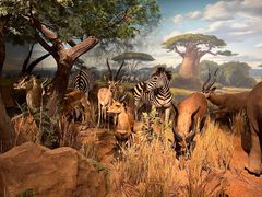 -陕西自然博物馆