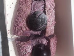 -奈雪的茶(青岛卓悦里INTOWN店)