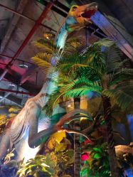 -恐龙探索乐园(磁器口店)