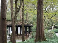 -杭州植物园
