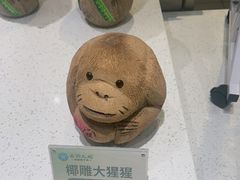 -春润大地海南椰子鸡(沙井京基百纳广场店)