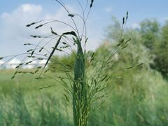 -敕勒川草原文化旅游区