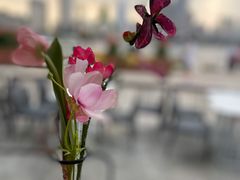 -哈根达斯(滨江店)