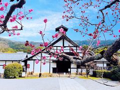 -醍醐寺