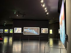 -罗红摄影艺术馆