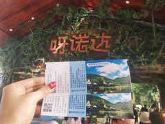 -呀诺达热带雨林