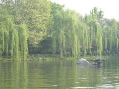 -西湖天地