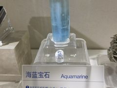 -安徽省地质博物馆