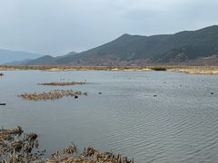 -泸沽湖国家级风景名胜区走婚桥