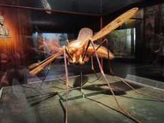 -美国自然历史博物馆