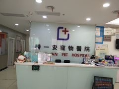 -特一安24小时宠物医院·骨科·中兽医