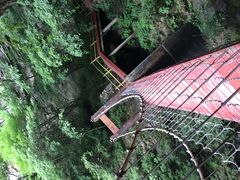 -牛背梁国家森林公园