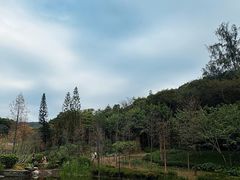 -云溪植物园