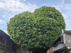 -三坊七巷历史文化街区