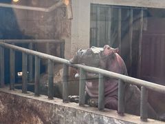 -保定市动物园