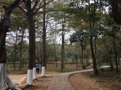 -天河儿童公园