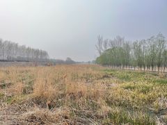 -东郊湿地公园