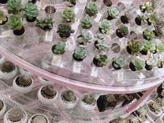 -KKV(深圳宏发大仟里店)