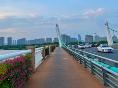 -蠡湖大桥公园