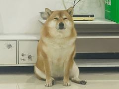 -南洋大师傅(六合龙湖天街店)