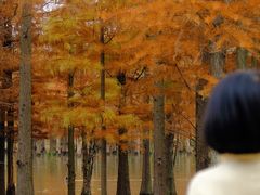 -白鹭湾湿地公园