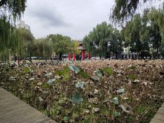 -四川大学(望江校区)