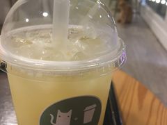 卡曼橘养乐多-有猫主题·治愈系猫咖(曾厝垵店)