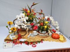 -重庆市江北嘴中央商务区中央公园