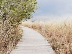 -野鸭湖国家湿地公园